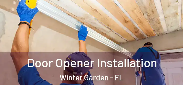  Door Opener Installation Winter Garden - FL