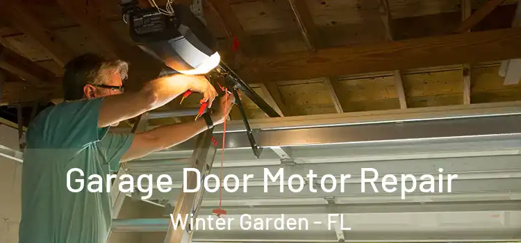  Garage Door Motor Repair Winter Garden - FL