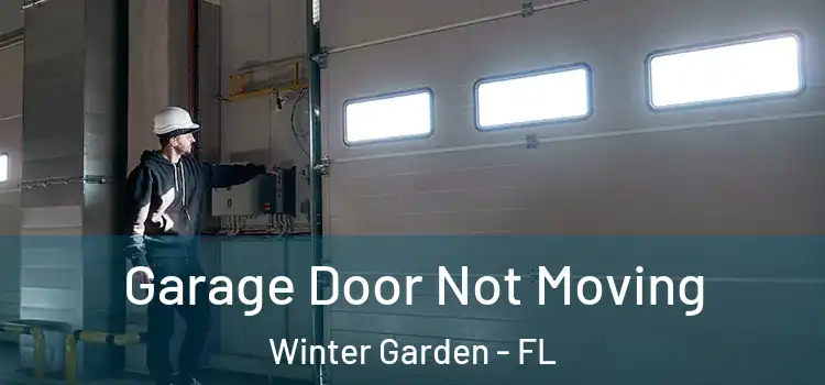  Garage Door Not Moving Winter Garden - FL