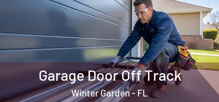  Garage Door Off Track Winter Garden - FL