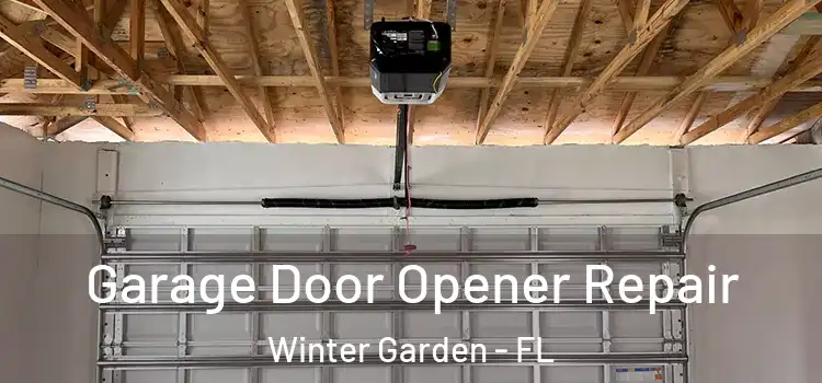  Garage Door Opener Repair Winter Garden - FL