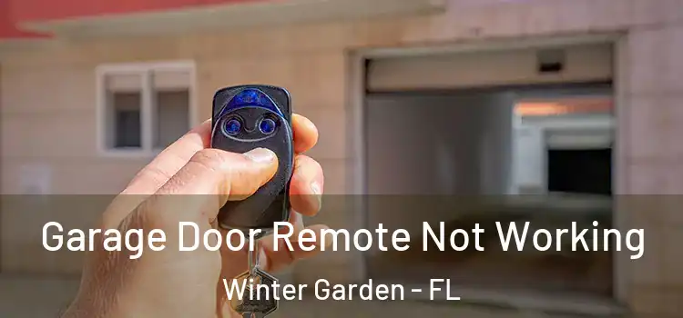  Garage Door Remote Not Working Winter Garden - FL