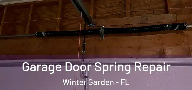  Garage Door Spring Repair Winter Garden - FL