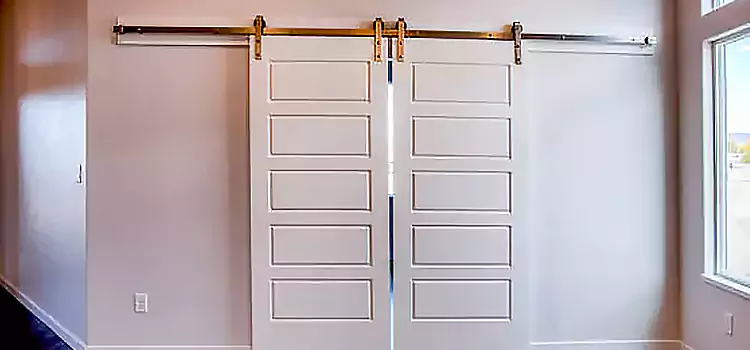 Glass Barn Door with Installation Hardware Kit Winter Garden