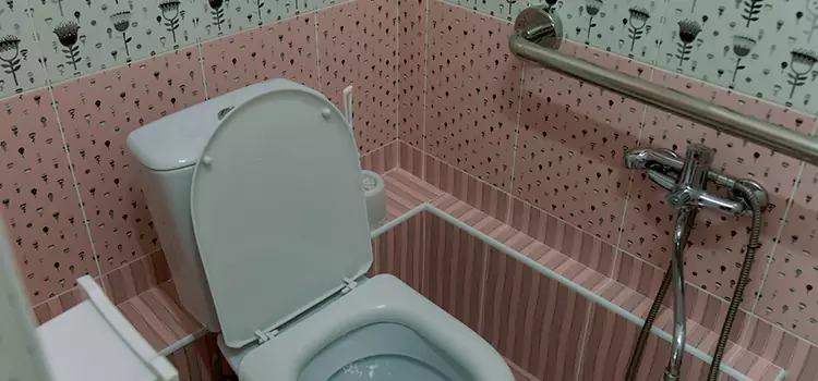 Meeting Diverse Needs With Accessible Restroom Solutions in Winter Garden, FL