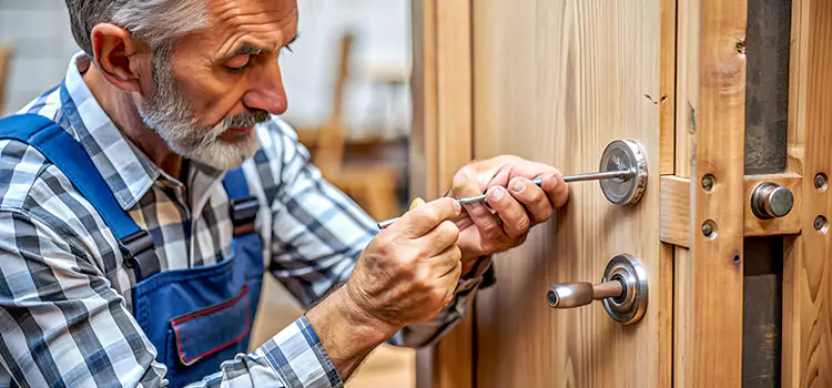Mortise Replacement Lock Winter Garden