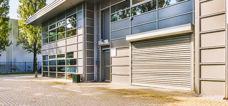 Electric Roller Garage Doors Winter Garden