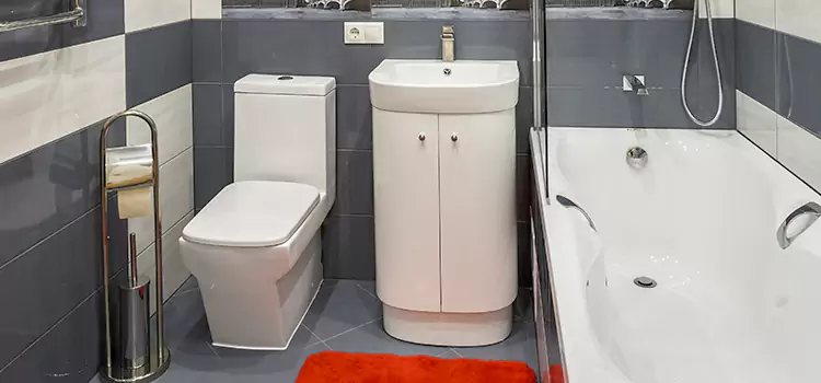 Hansgrohe Shaving Mirror Winter Garden