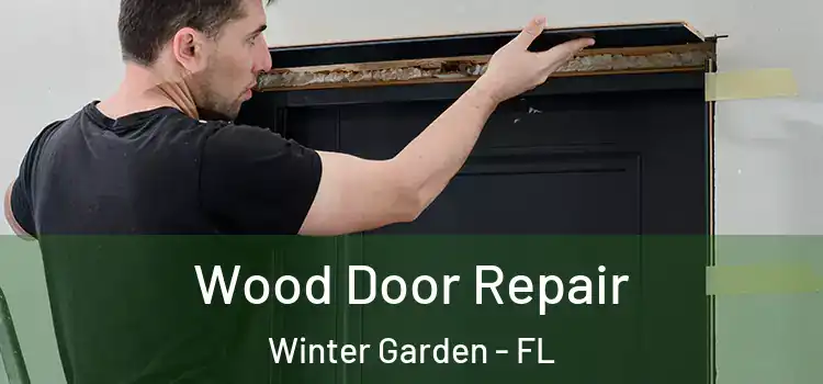 Wood Door Repair Winter Garden - FL